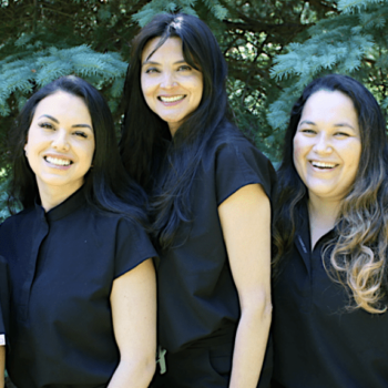 Hudson family dental staff NJ